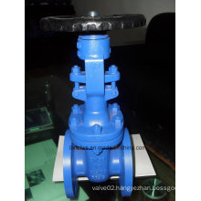 DIN Standard F5 Gate Valve